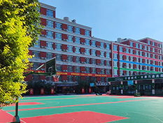 ������Ӗ��_F1���w�Ļ��͏d